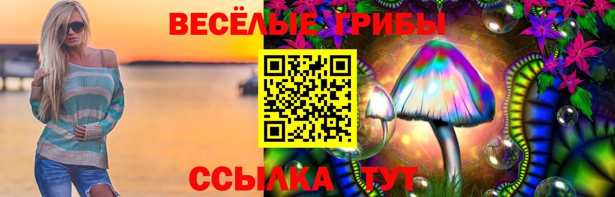 Псилоцибиновые грибы Psilocybe Красноармейск